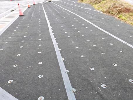 庭木伐採 庭木伐採