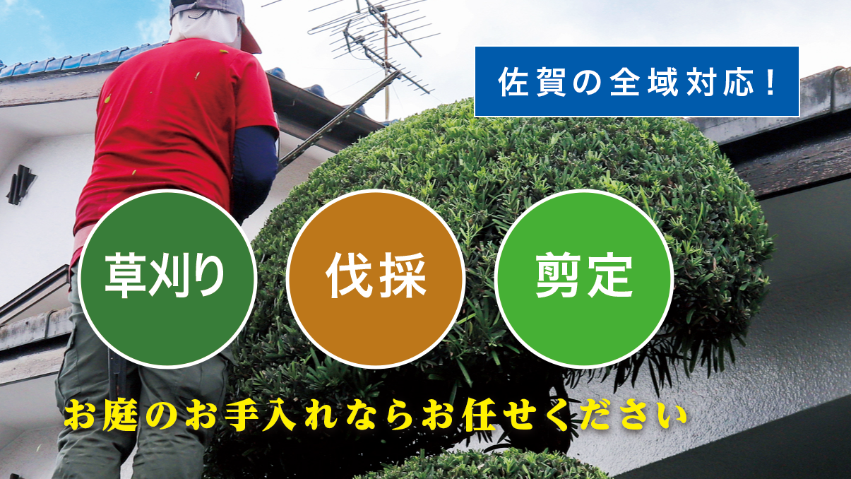 ���Β��ő�����E����E���̂Ȃ�u����̑叫�v